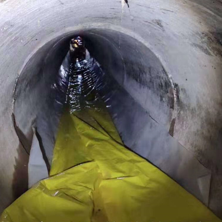 陈巴尔虎管道光固化修复